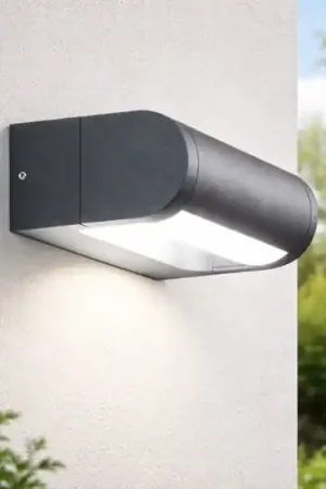 Applique antracite per esterno fabas luce wild led 12w 3000k orientabile Professionale