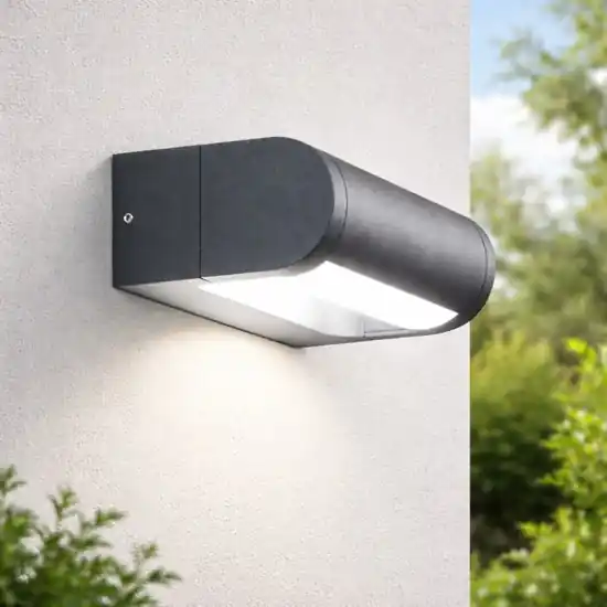 Applique antracite per esterno fabas luce wild led 12w 3000k orientabile Professionale