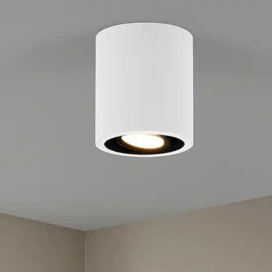 Faretto da soffitto luce gu10 orientabile cilindro bianco e nero Direttamente Dal Produttore