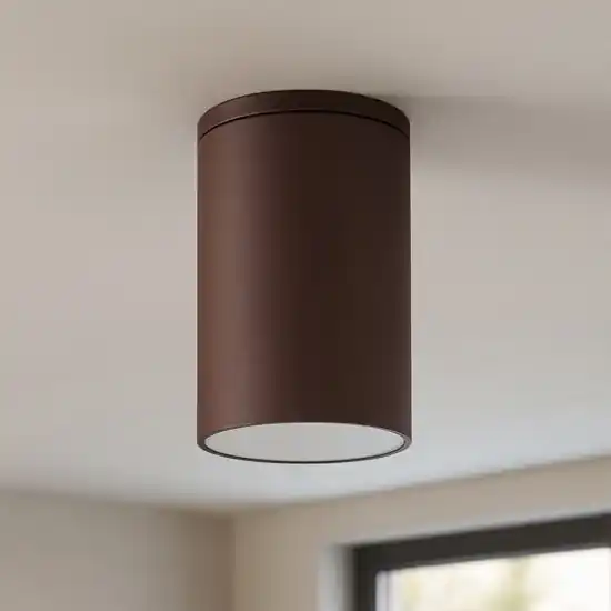 Faretto per esterno da soffitto cilindro marrone corten Compra Adesso