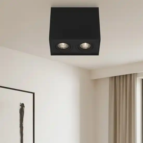 Di Tendenza Plafoniera da soffitto per cucina 2 luci orientabili
