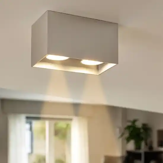 Faretto da soffitto cestello grigio i doppia luce A Buon Prezzo