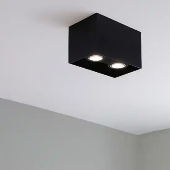 Offerta Lampo Plafoniera sporgente 2 luci nera rettangolare