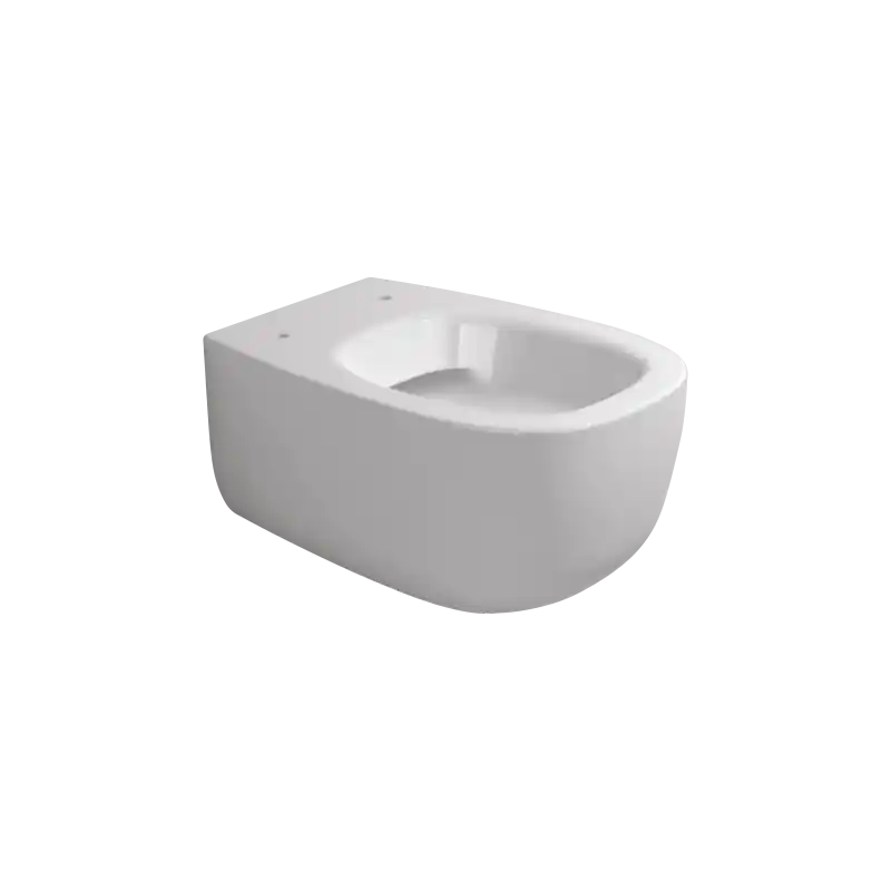Offerta Limitata FLAMINIA Bonola wc sospeso senza brida