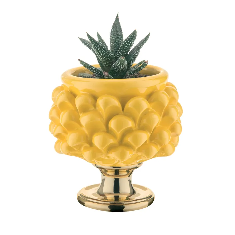 Nuova Collezione Vaso portapiantina dalle linee moderne