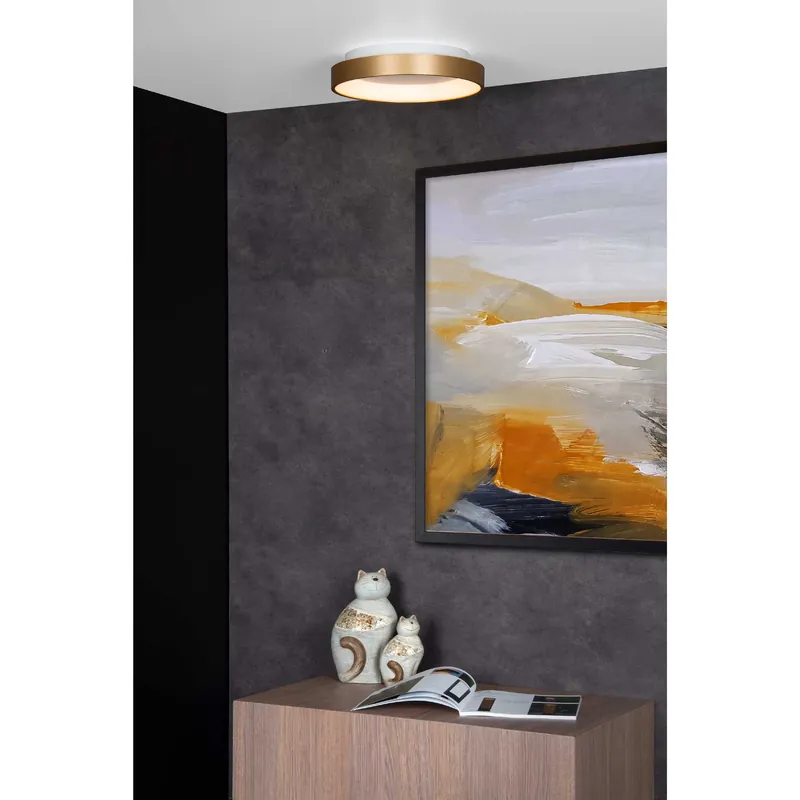Plafoniera piccola con struttura rotonda in metallo e diffusore in acrilico - 21W - Lumen 1350 - 3000k Luce Calda - 20 Solo Oggi