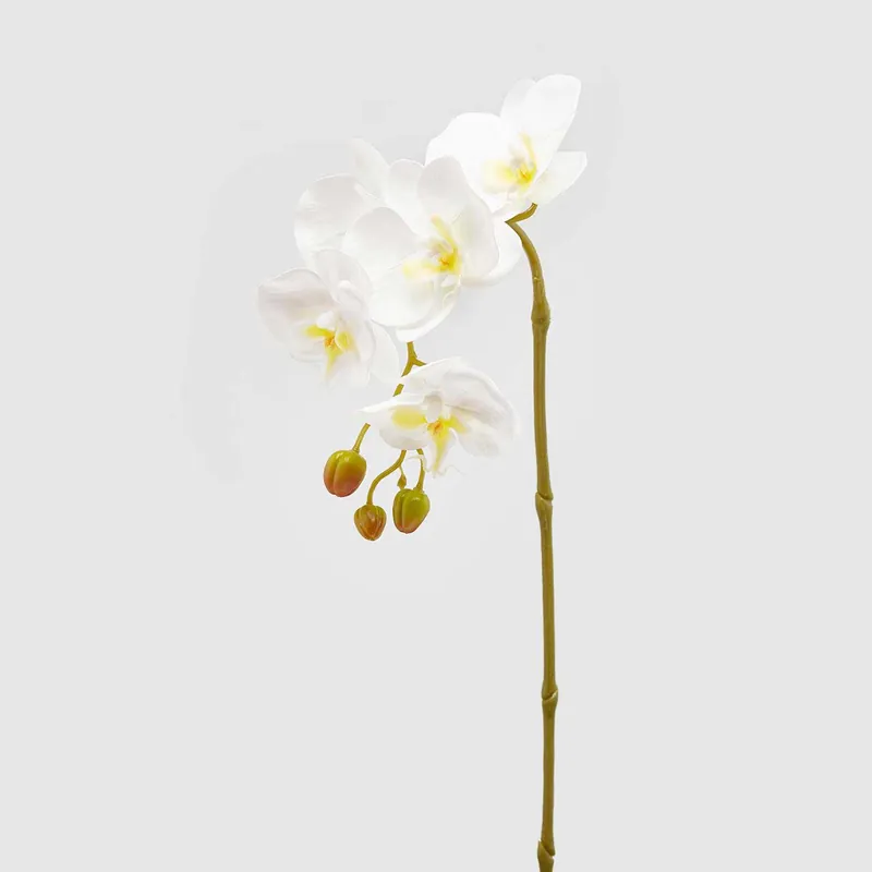 Pianta artificiale ramo di Orchidea singolo Prezzo Conveniente