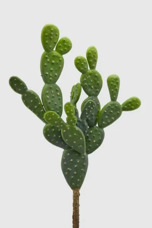 Miglior Prezzo Pianta artificiale con ramo di Cactus Bell Pick