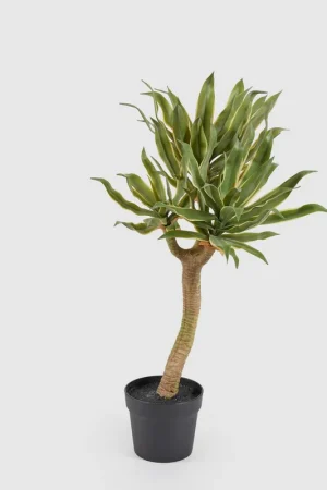 Bestseller Pianta artificiale con agave chic e vaso