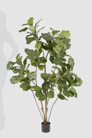 Compra Oggi Stesso Pianta artificiale con ficus lyrata con vaso grande