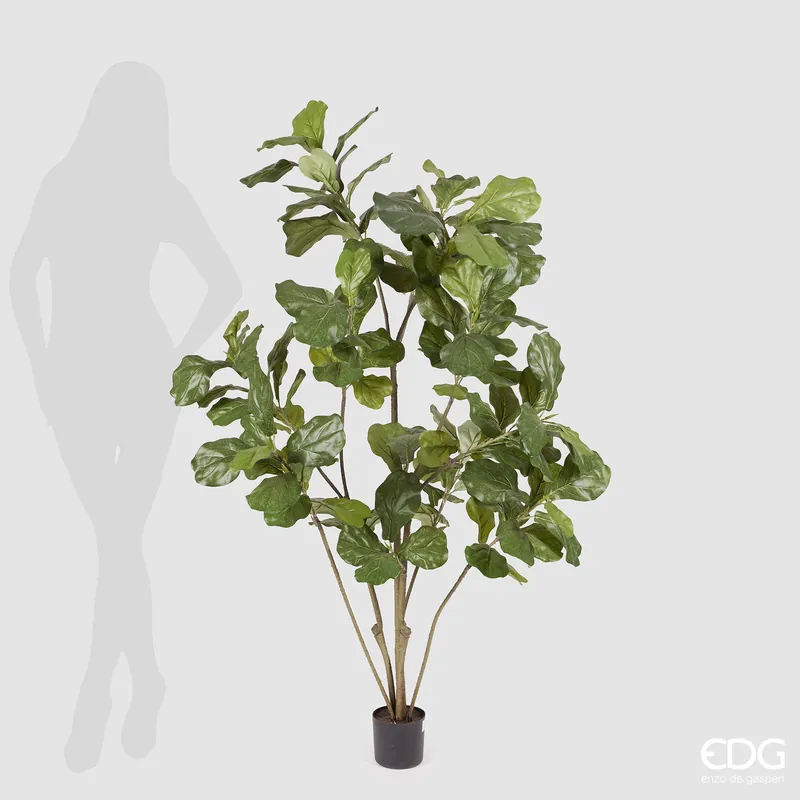 Compra Oggi Stesso Pianta artificiale con ficus lyrata con vaso grande
