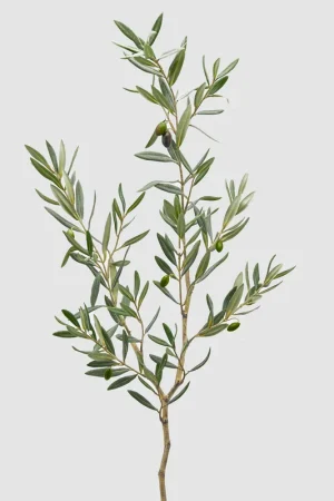 Prezzo Ridotto Pianta artificiale ramo di olivo true
