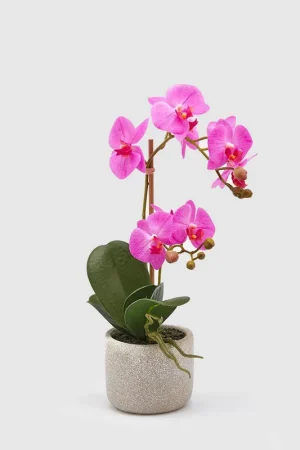 Offerta Del Giorno Pianta artificiale con vaso orchiedea