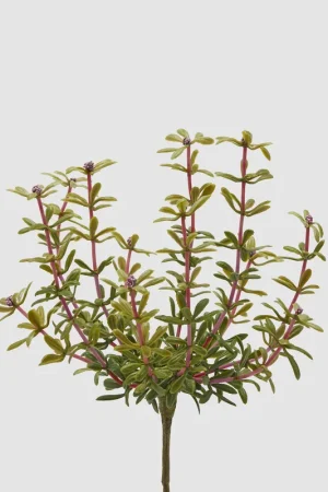 Promozione Esclusiva Pianta artificiale Cespuglio di Portulacca