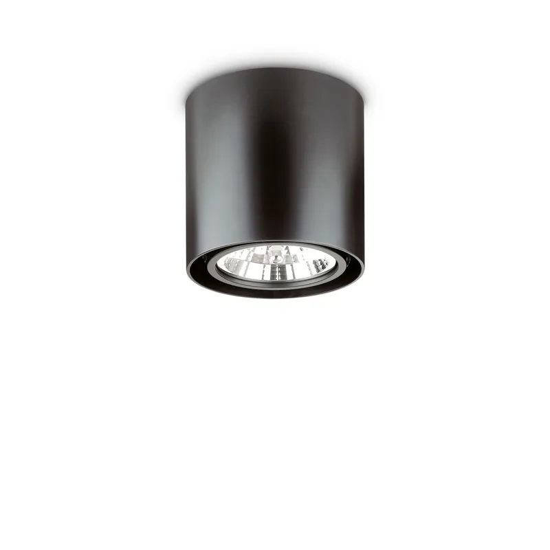 Ordina Subito Faretto da soffito rotondo grande orientabile con struttura in metallo - 50W - IP20
