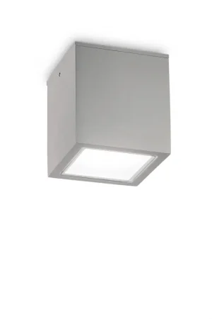Prezzo Conveniente Plafoniera da esterno grande in alluminio con diffusore in vetro - 20W - IP54