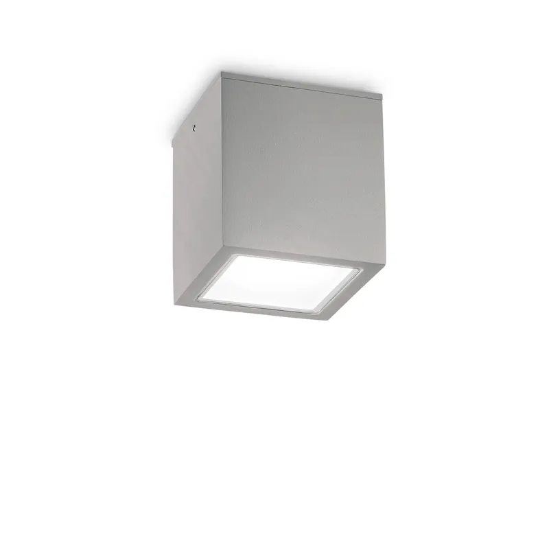Prezzo Conveniente Plafoniera da esterno grande in alluminio con diffusore in vetro - 20W - IP54