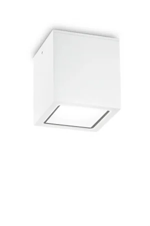 Di Tendenza Plafoniera da esterno grande in alluminio con diffusore in vetro - 20W - IP54
