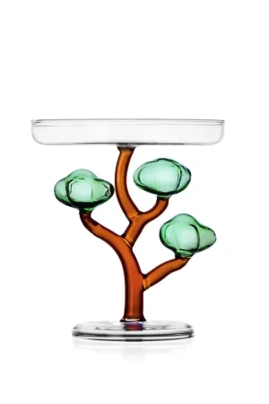 Alzata in vetro a forma di albero baobab Di Tendenza