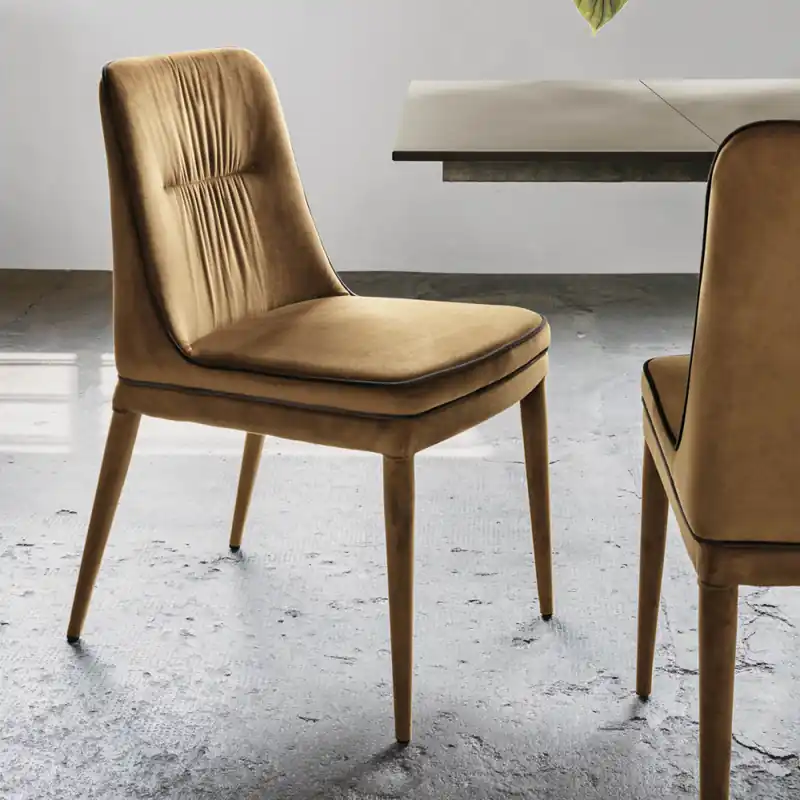 Occasione Imperdibile Sedia elegante moderna in velluto Dallas