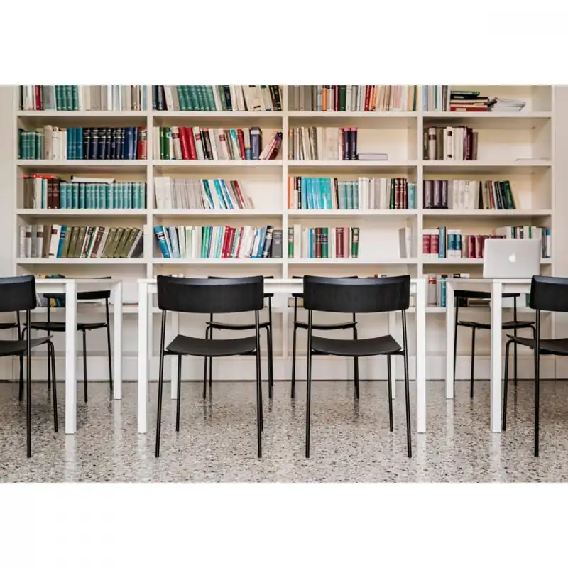 Nuova Collezione Sedia impilabile in legno con struttura in metallo Mito LG