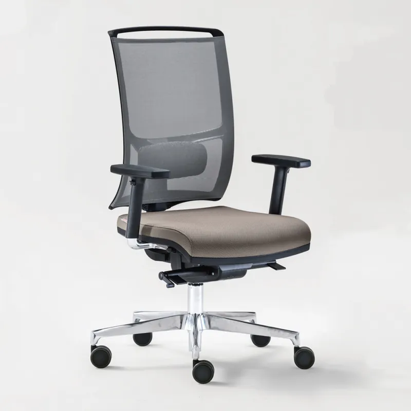 Sedia ufficio ergonomica supporto lombare Zed Offerta Del Giorno