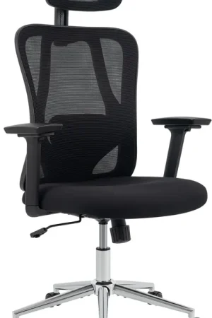 Spedito Oggi Sedia da Ufficio Ergonomica Bryden