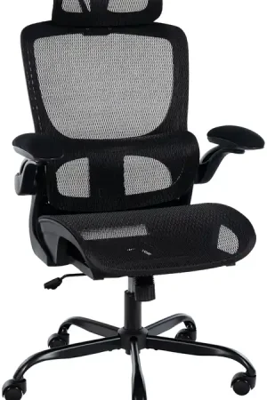 Acquista Ora Sedia da ufficio Kaylee