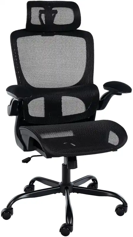 Acquista Ora Sedia da ufficio Kaylee