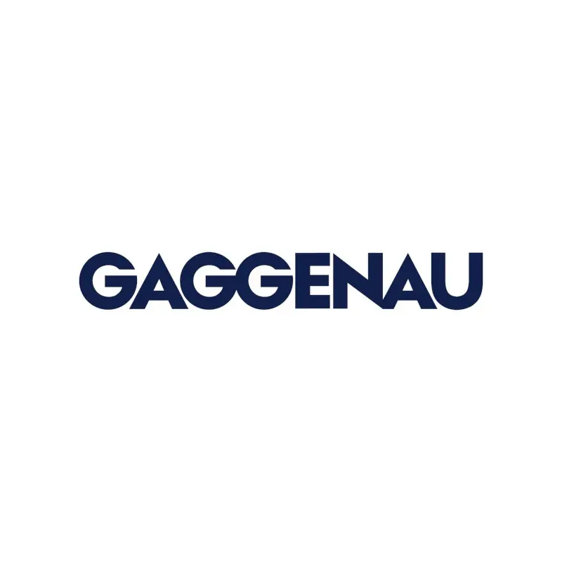Quantità Limitata Gaggenau Camino AD442122