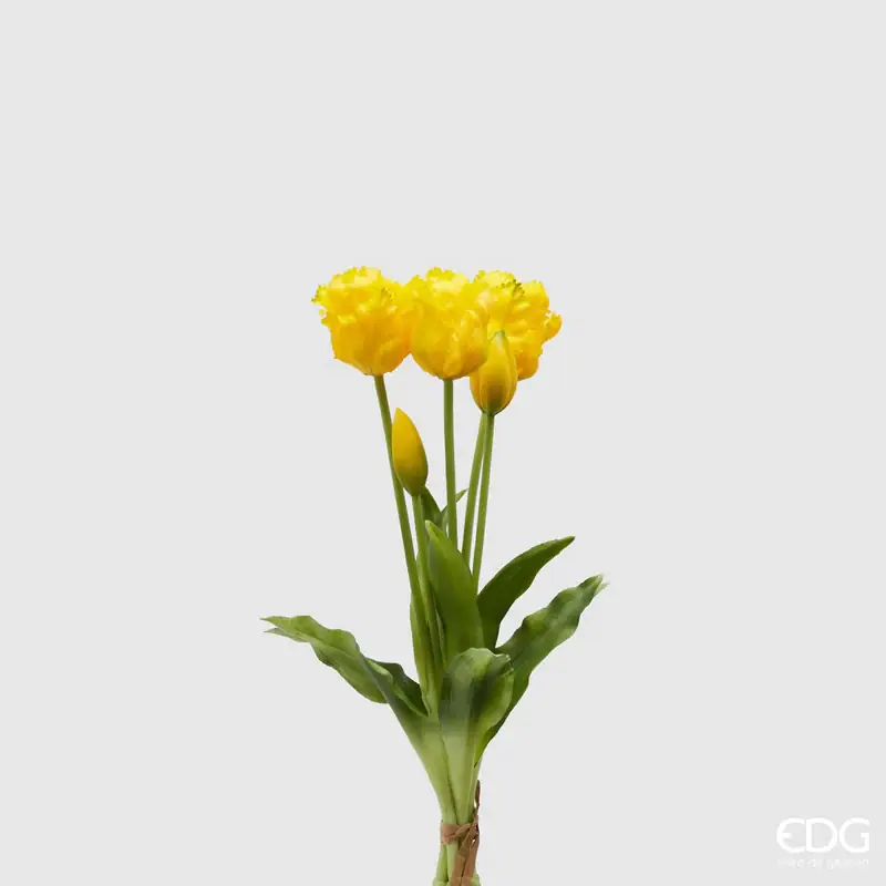 EDG Enzo de Gasperi Bouquet di Tulipani Parrot Giallo 40 cm Nuovo Arrivo