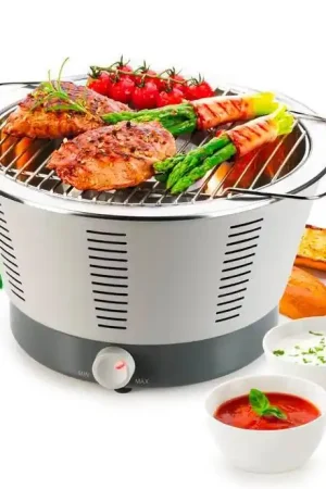 Compra Oggi Stesso Tescoma Barbecue da Tavolo Party Time