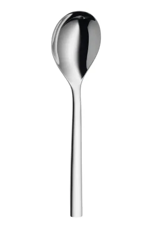 WMF Cucchiaione a Servire in Acciaio Cromargan 25 cm Promozione Esclusiva