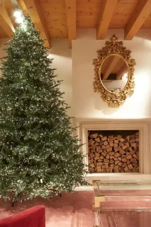 Subito Disponibile EDG Enzo de Gasperi Albero di Natale Pino Spark 365 cm con 13000 mini led