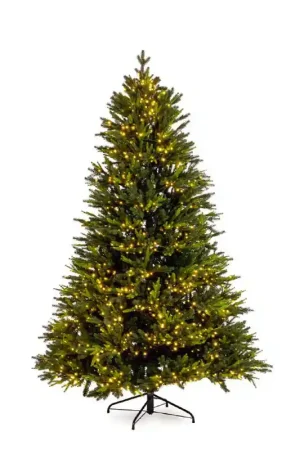 Andrea Bizzotto Albero di Natale Pino Berkshire 5436 Rami 1900 Led H210 cm Compra Oggi Stesso
