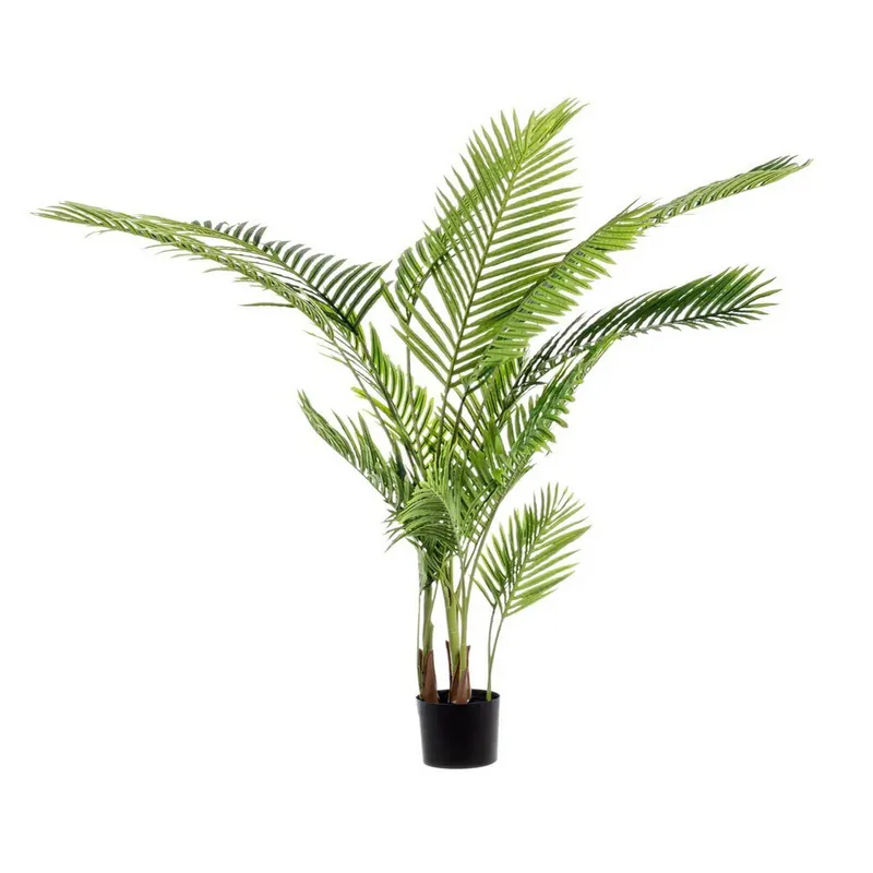 Andrea Bizzotto Pianta Palma Kenzia con vaso 17 Foglie H160 cm Prezzo Basso