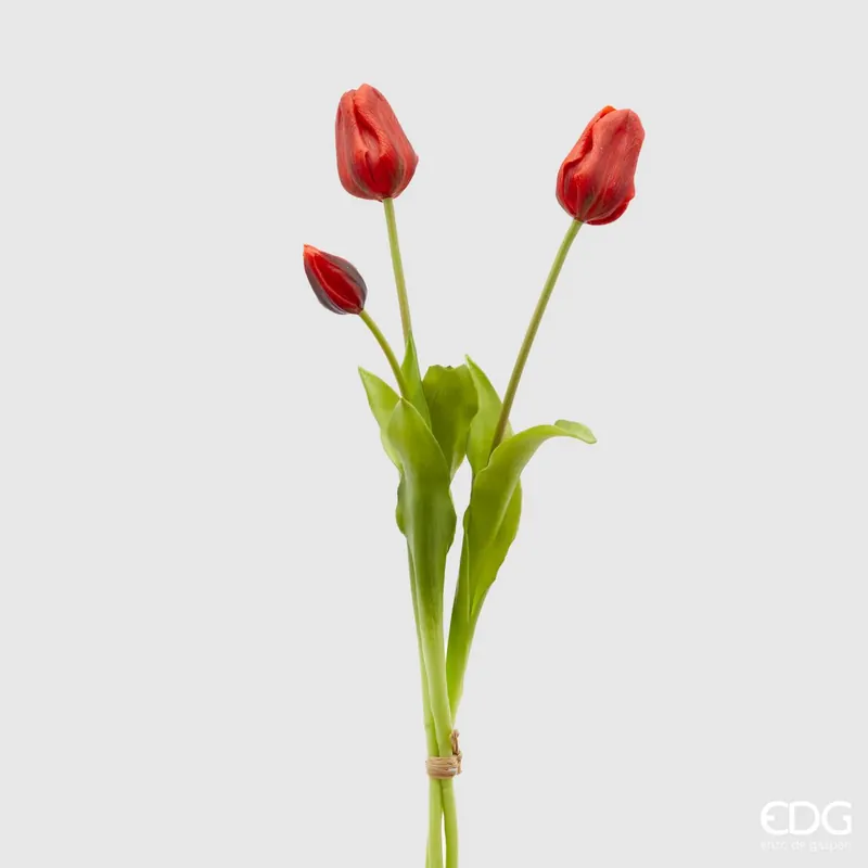 Consegna Rapida EDG Enzo De Gasperi Tulipano Olis 3 Fiori H48 cm Rosso