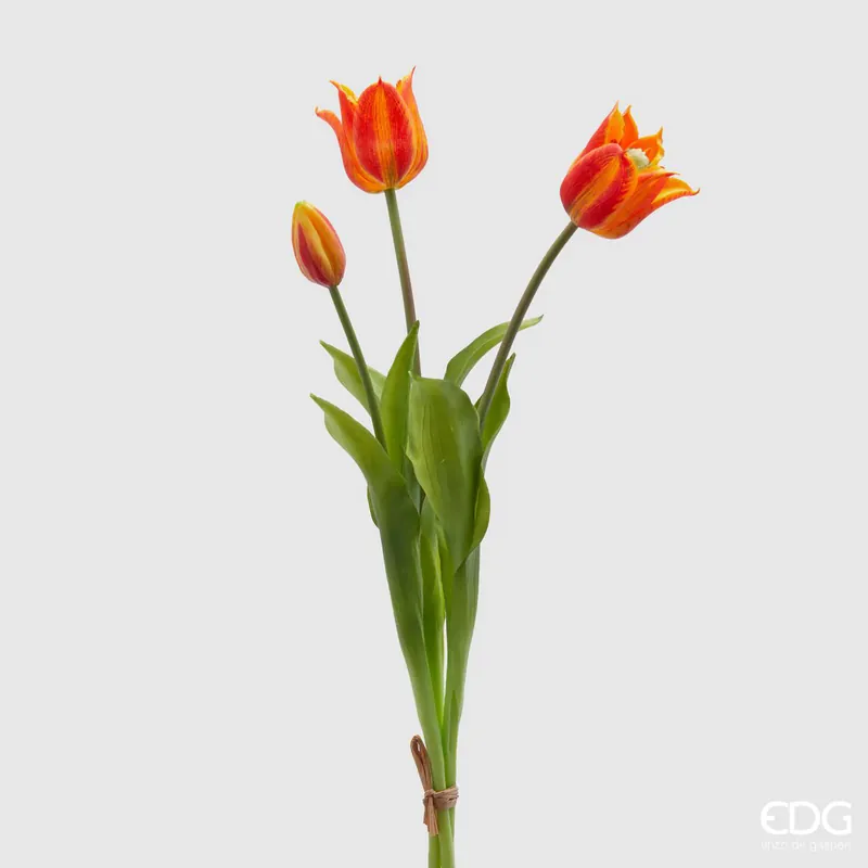 Direttamente Dal Produttore EDG Enzo De Gasperi Tulipano Olis Fiorito 3 Fiori H48 cm Arancione Sfumato