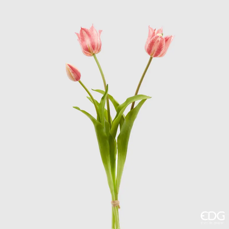 EDG Enzo De Gasperi Tulipano Olis Fiorito 3 Fiori H48 cm Rosa Sfumato Consegna Rapida
