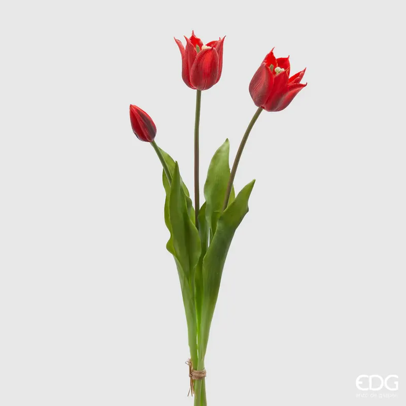 Offerta Speciale EDG Enzo De Gasperi Tulipano Olis Fiorito 3 Fiori H48 cm Rosso