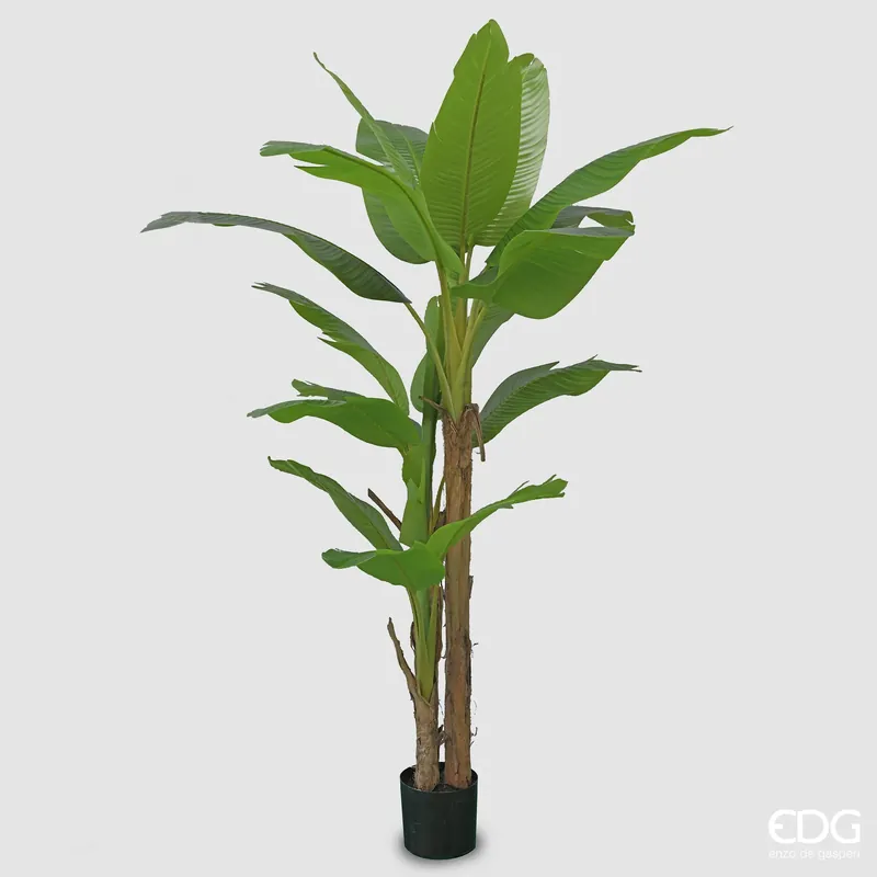 EDG Enzo De Gasperi Pianta Artificiale Banano con Vaso H280 cm Prezzo Conveniente