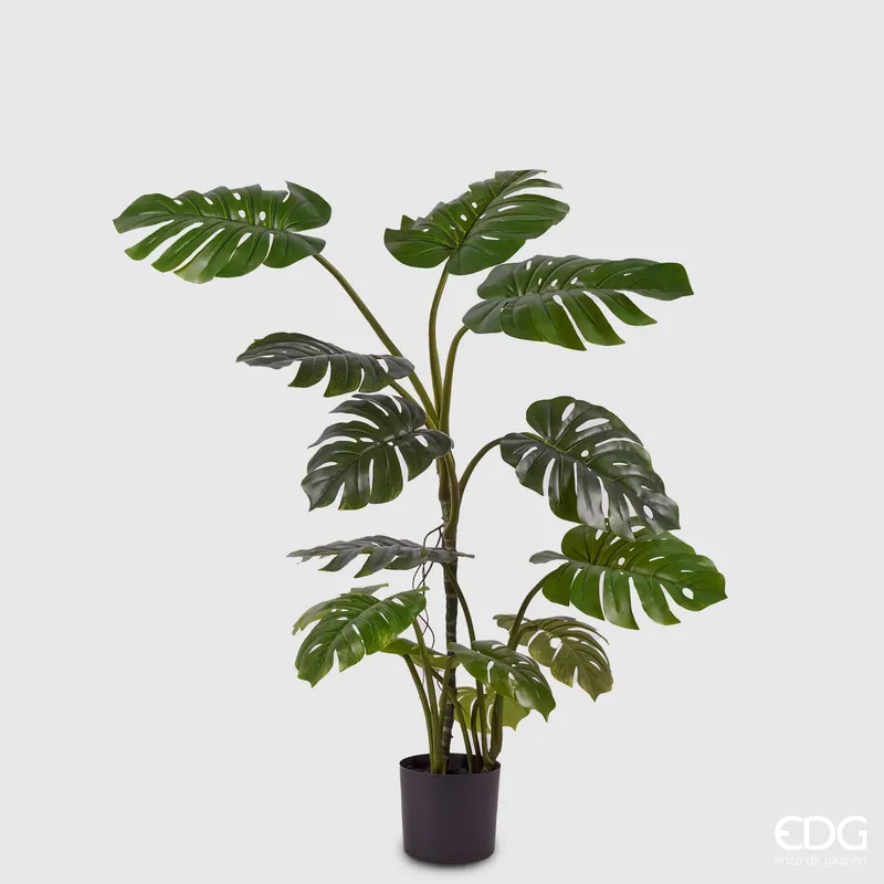 Compra Adesso EDG Enzo De Gasperi Pianta Artificiale Monstera con Vaso H130 cm