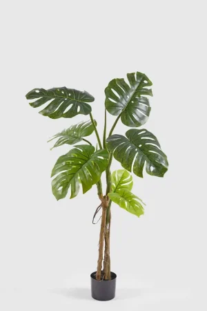 Ultima Occasione EDG Enzo De Gasperi Pianta Artificiale Monstera Slim con Vaso H130 cm