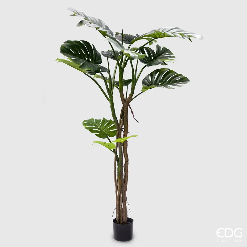 Ultime Pezzi EDG Enzo De Gasperi Pianta Artificiale Monstera Slim con Vaso H180 cm