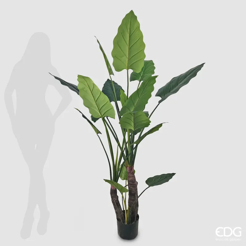Bestseller EDG Enzo De Gasperi Pianta Artificiale Alocasia con Vaso H180 cm