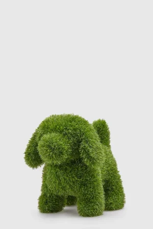 Acquista Ora EDG Enzo de Gasperi Decoro Erba Cane 33x23x35 cm