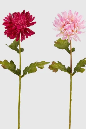 Must-Have EDG Enzo De Gasperi Set 2 Rami Artificiali di Crisantemo Rex H60 cm Sfumature di Rosa