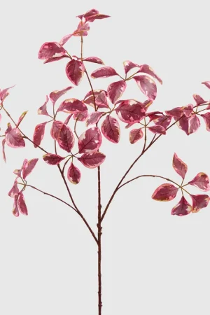 Compra Adesso EDG Enzo De Gasperi Ramo Artificiale di Betulla H103 cm Rosa