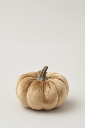 Esclusivo EDG Enzo De Gasperi Decoro Zucca Velvet H8,5 cm