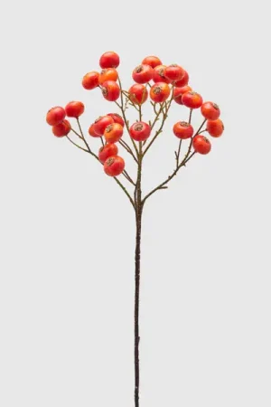 EDG Enzo De Gasperi Ramo Bacche H60 cm Rosso Offerta